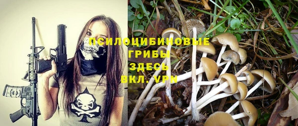 каннабис Богданович