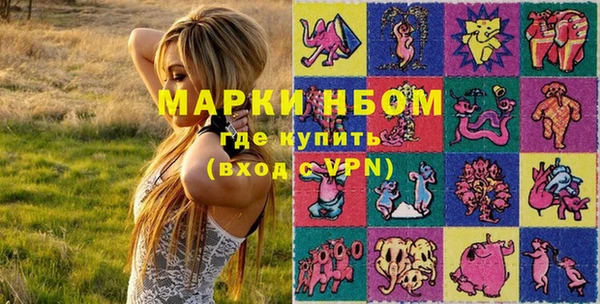 прущий лед Богородицк