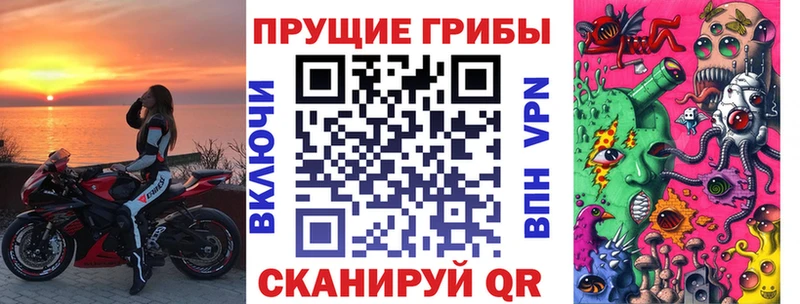 Галлюциногенные грибы MAGIC MUSHROOMS  мориарти клад  Дмитров 